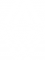 logo renault-white.png